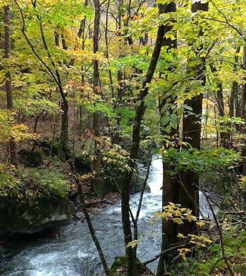 פנסיון Lien Tono