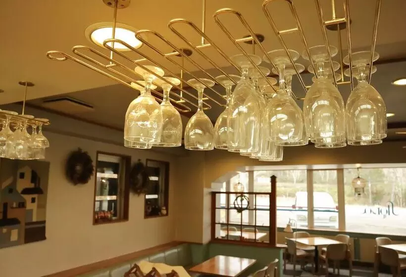 Hotelli Sankt Moritz Shiga