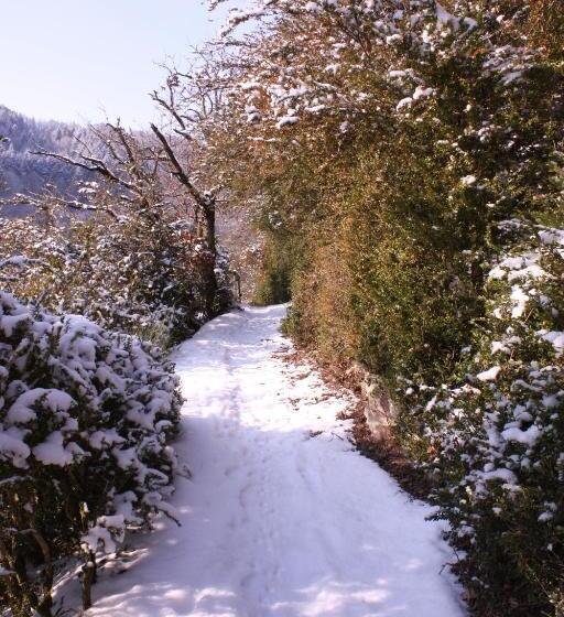 Ferienwohnungen Schenk Schmitz