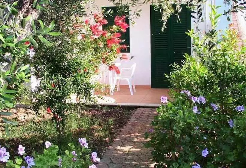 Residence Alba
