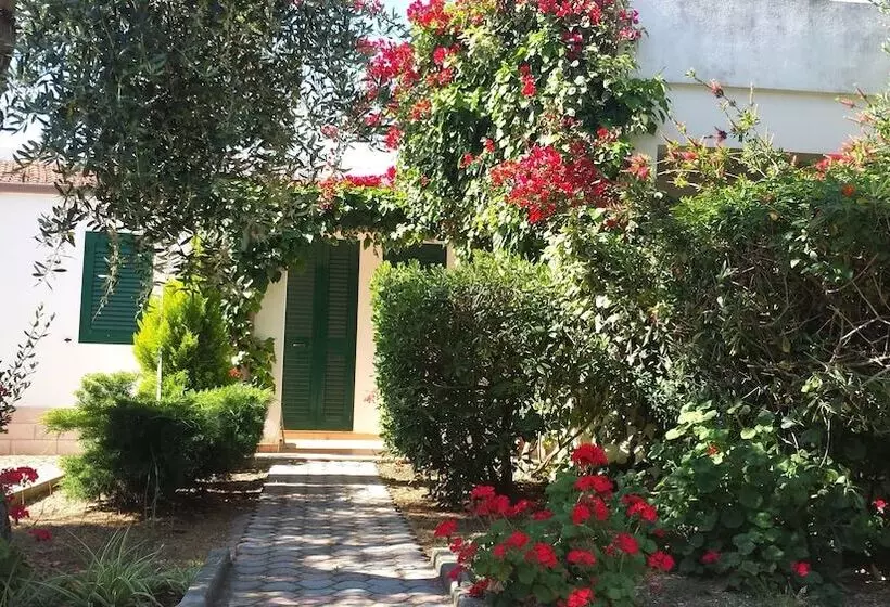 Residence Alba