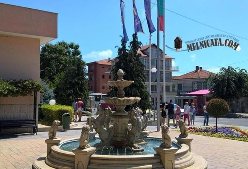 پانسیون Sineva Guest House