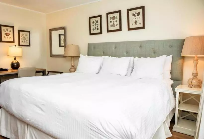 Otel Three Village Inn