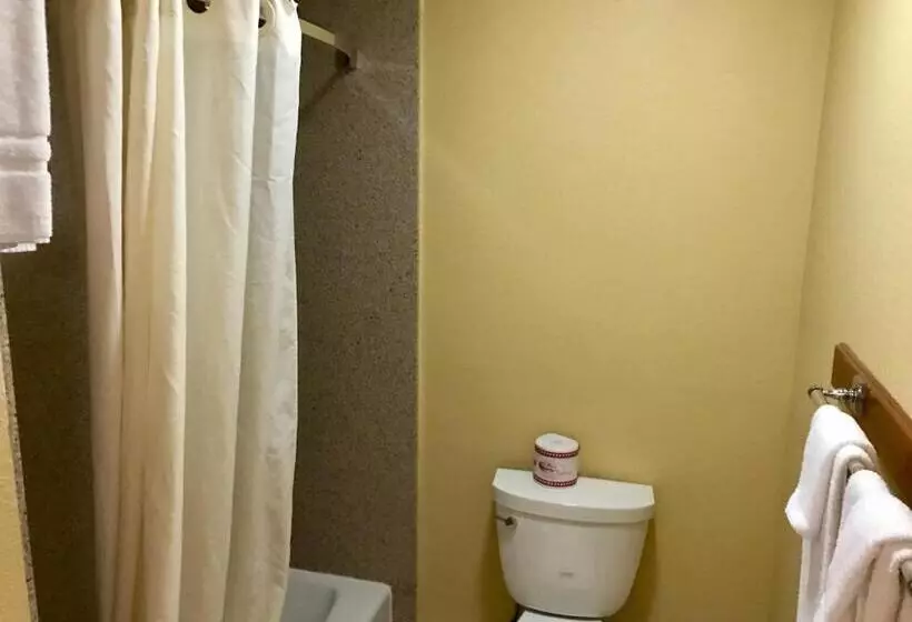 Hotelli Touristlodge