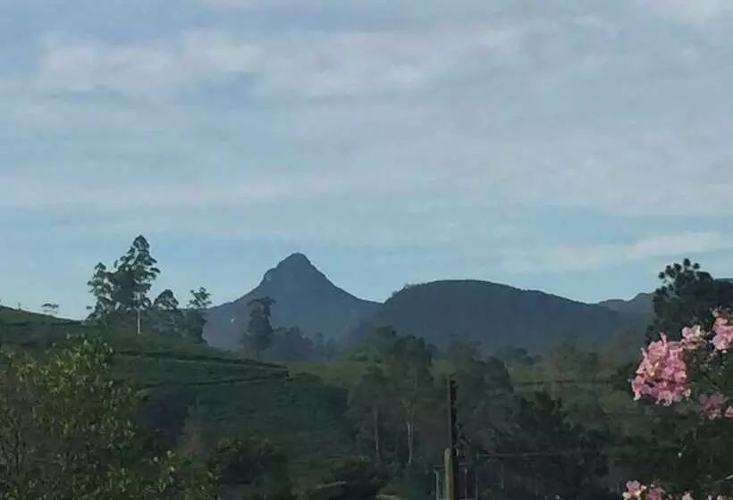 ベッドアンドブレックファースト Yoho Jai Bangalow