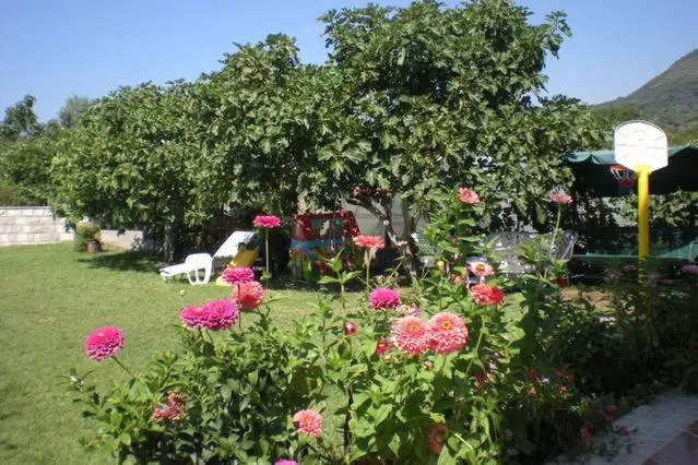 پانسیون Villa Jovanovic