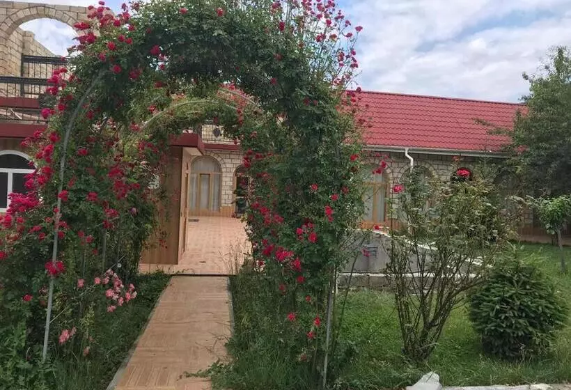 Sheki Apartments