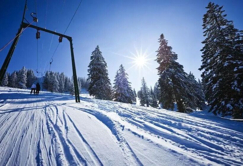 Terresens Le Diamant Des Neiges