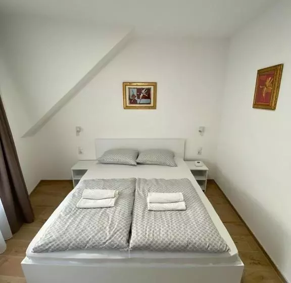 پانسیون Prenoćište Stari Grad   Old Town