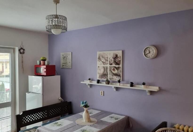 פנסיון Penzion A Víno