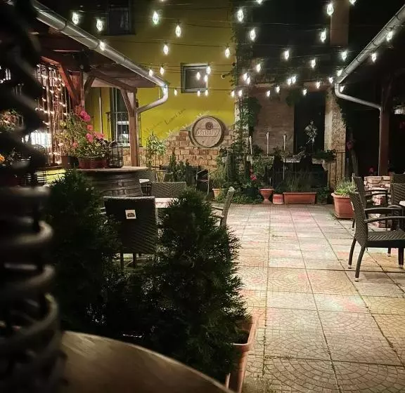 ペンション Penzion A Víno