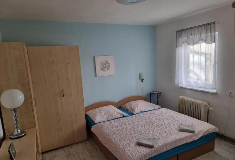 פנסיון Penzion A Víno