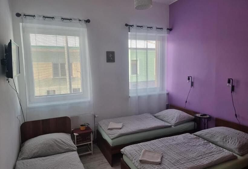 פנסיון Penzion A Víno