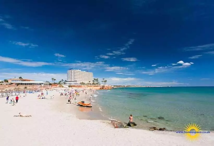 Playamarina 1 Reception