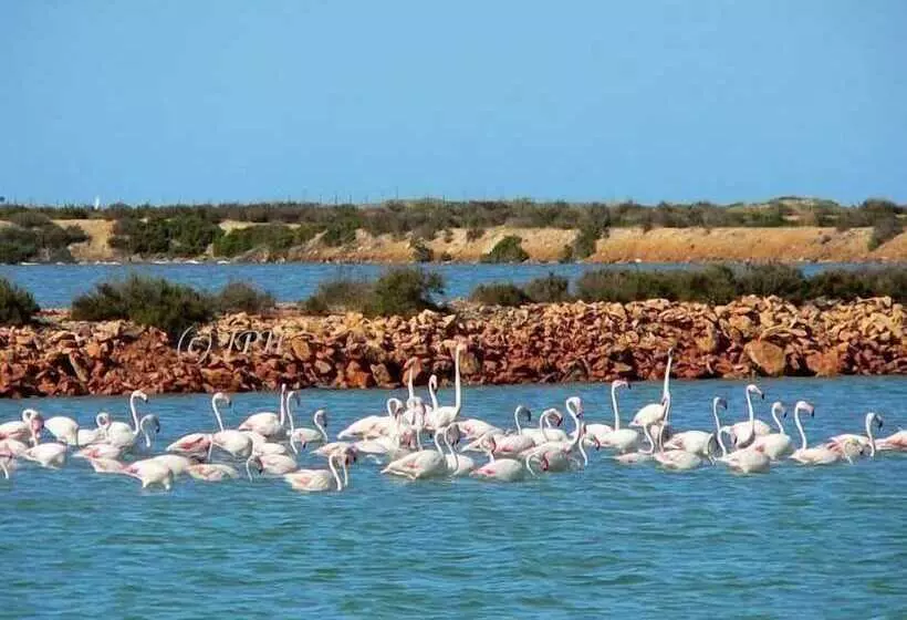 Playamarina 1 Reception