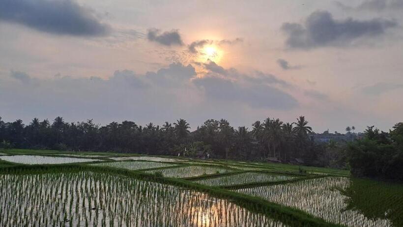 ベッドアンドブレックファースト Galang Hari Villa