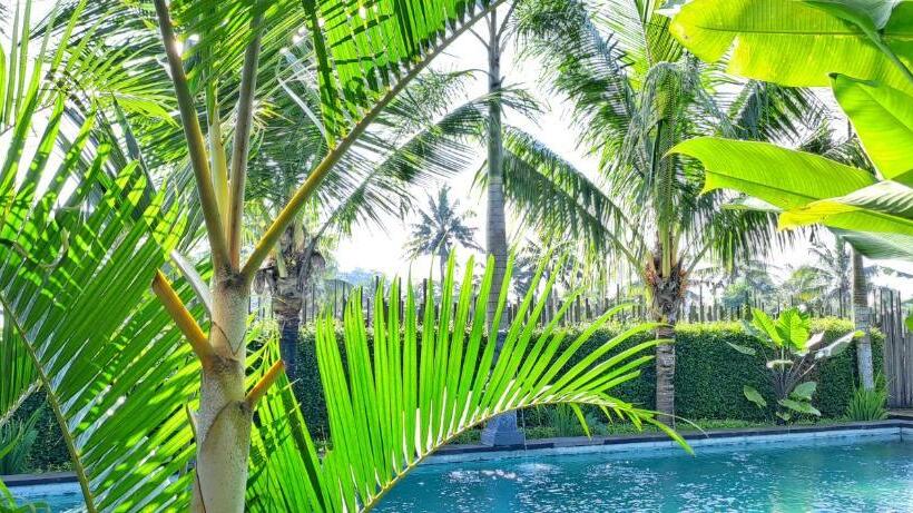 ベッドアンドブレックファースト Galang Hari Villa