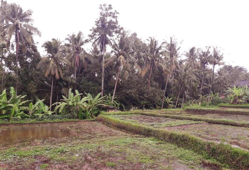 ベッドアンドブレックファースト Galang Hari Villa