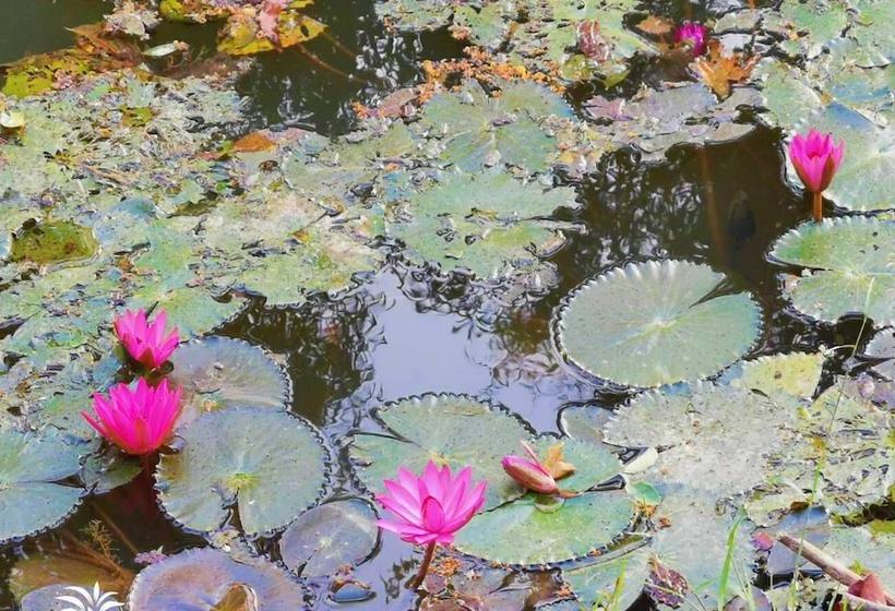 酒店 Baan Suan Wassana Buriram