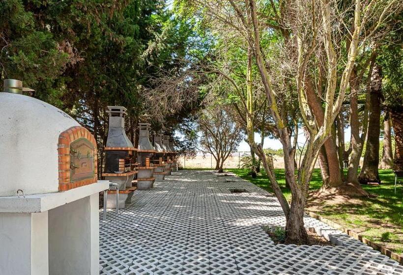 Alojamiento Rural La Jandeta