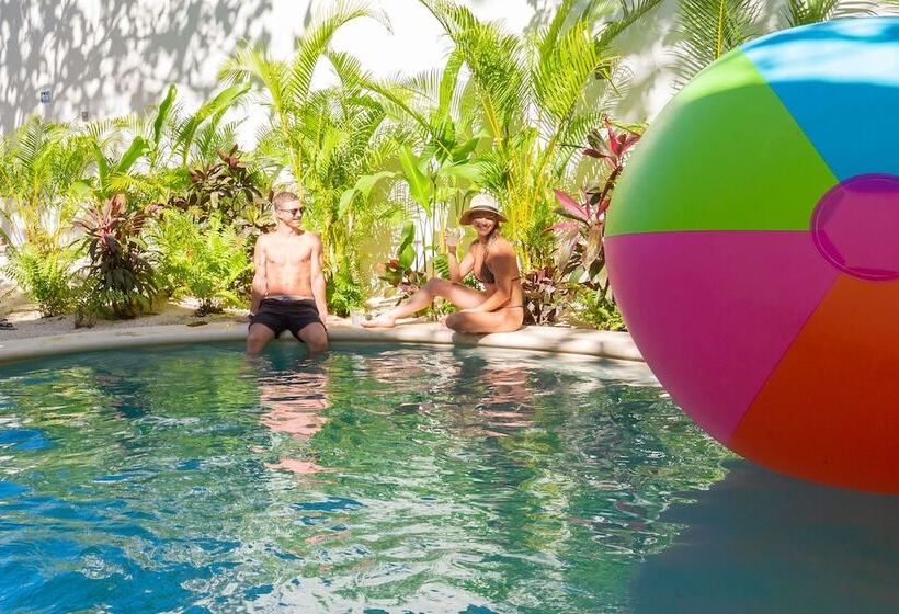 Oostel Smart Capsule Hostel   Tulum Pueblo