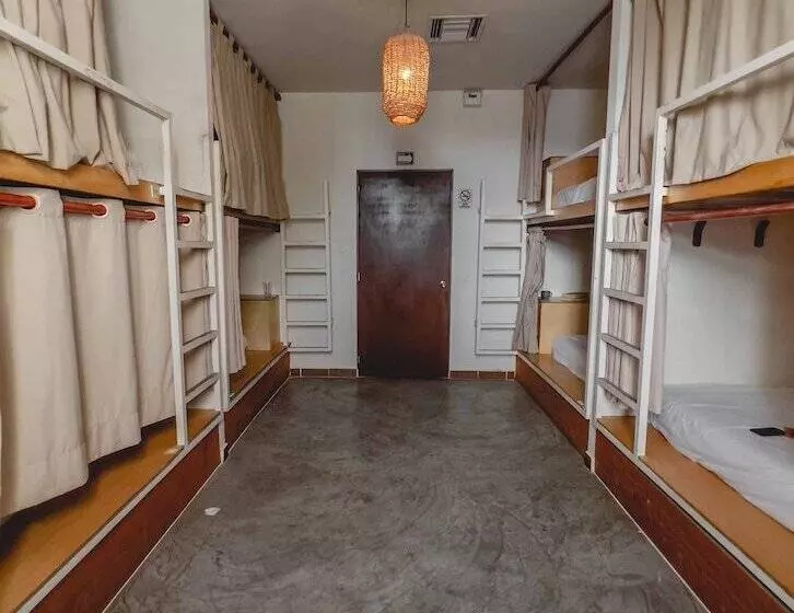 Oostel Smart Capsule Hostel   Tulum Pueblo