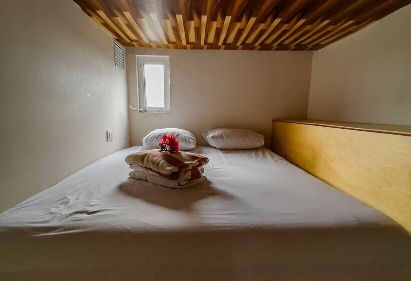 Oostel Smart Capsule Hostel   Tulum Pueblo
