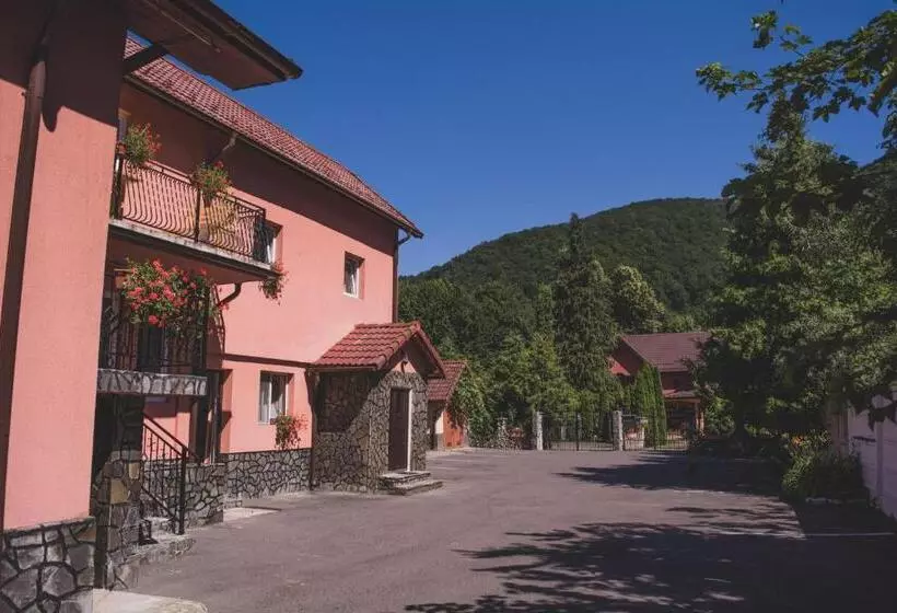 Pensiunea Castel