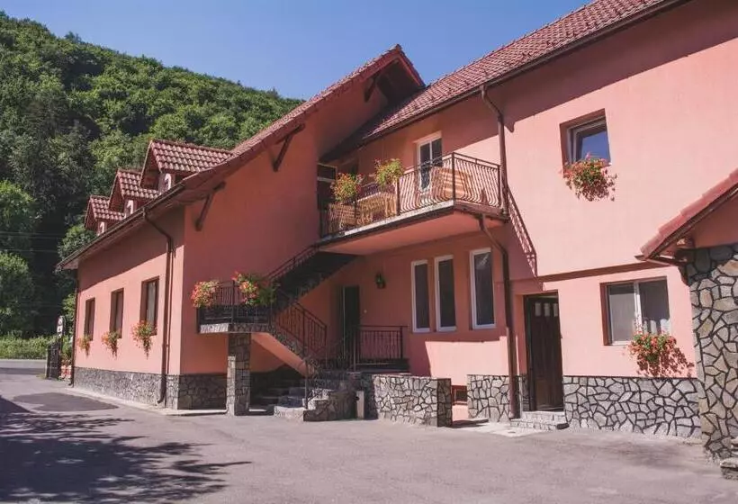 Pensiunea Castel