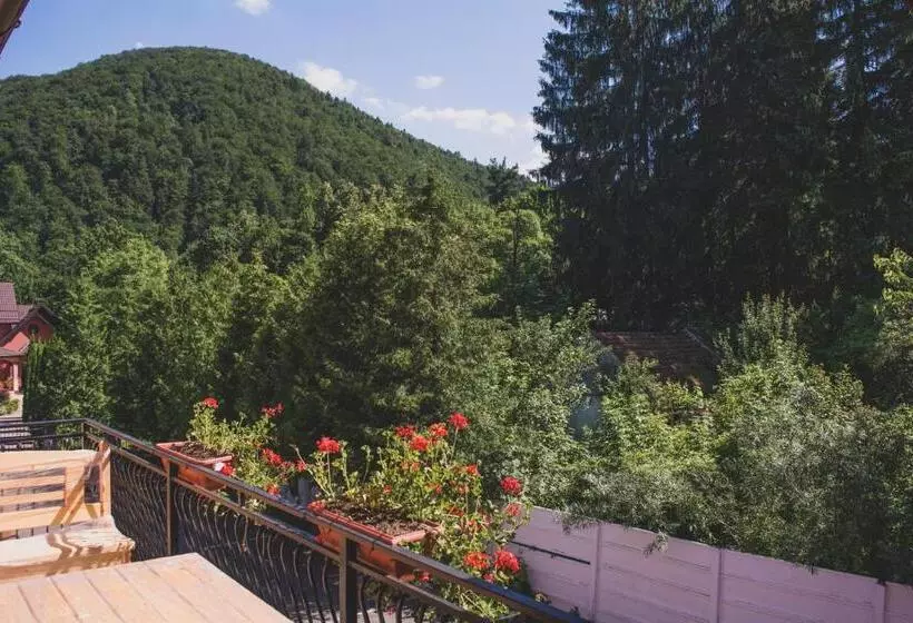 Pensiunea Castel