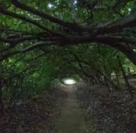 Ts Hotel   Taman Rinting