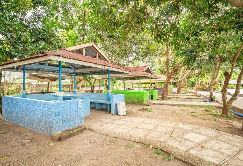 Отель Oyo 582 Hacienda Darasa