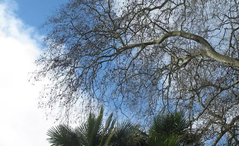 Pensione Villa Dampierre