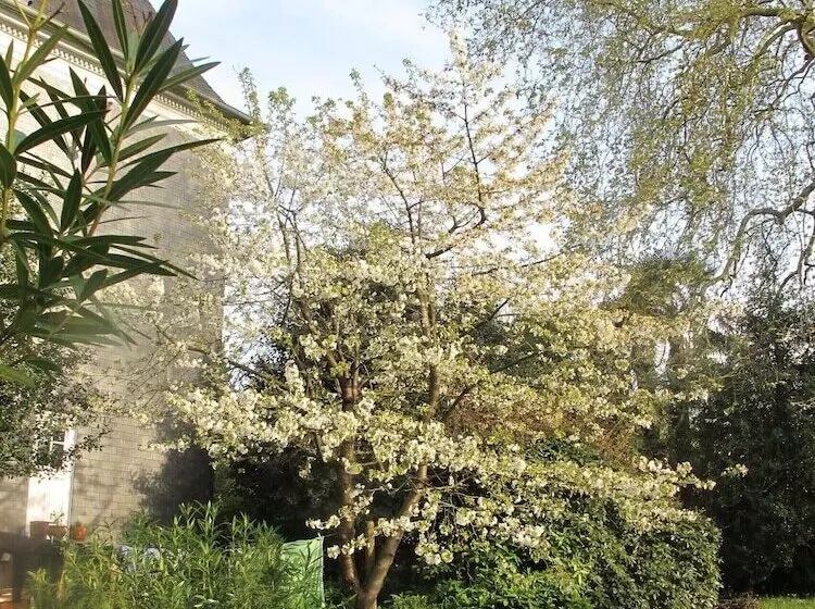 Pensione Villa Dampierre