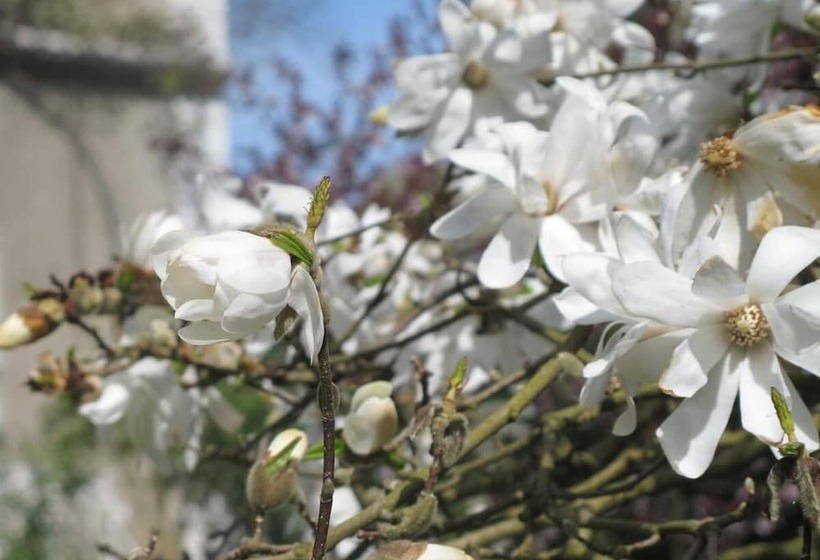 پانسیون Villa Dampierre