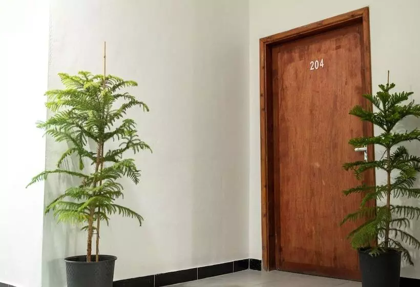 Value Place   Hostel