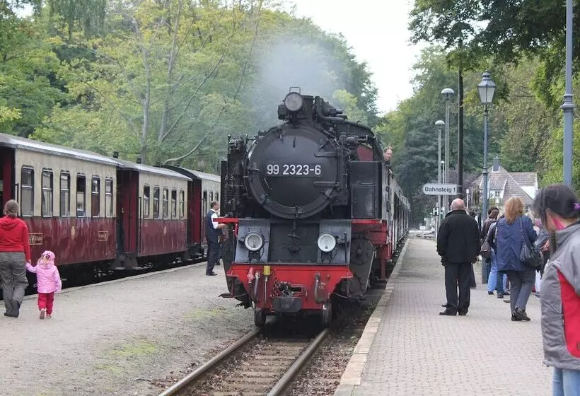 Ferienwohnung In Strandnaehe In Kuehlungsborn