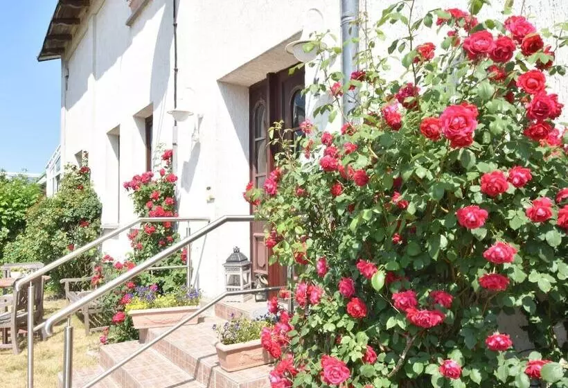 Ferienwohnung In Strandnaehe In Kuehlungsborn