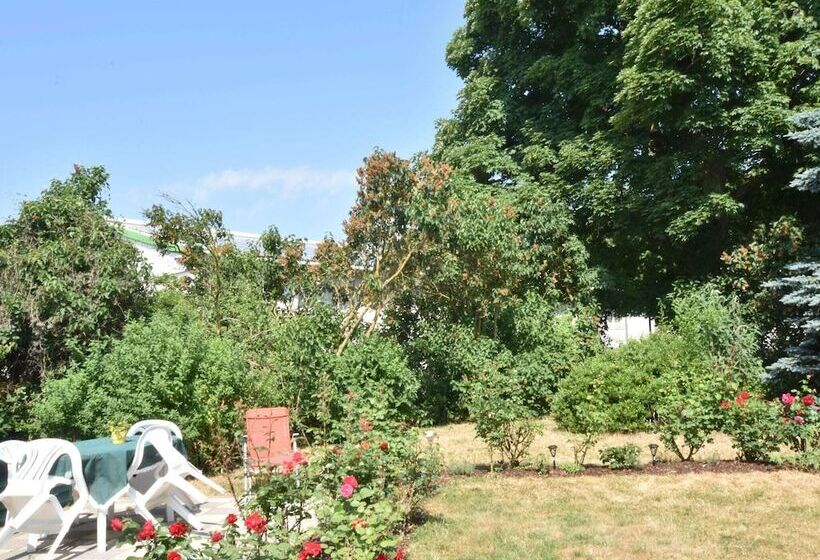 Ferienwohnung In Strandnaehe In Kuehlungsborn