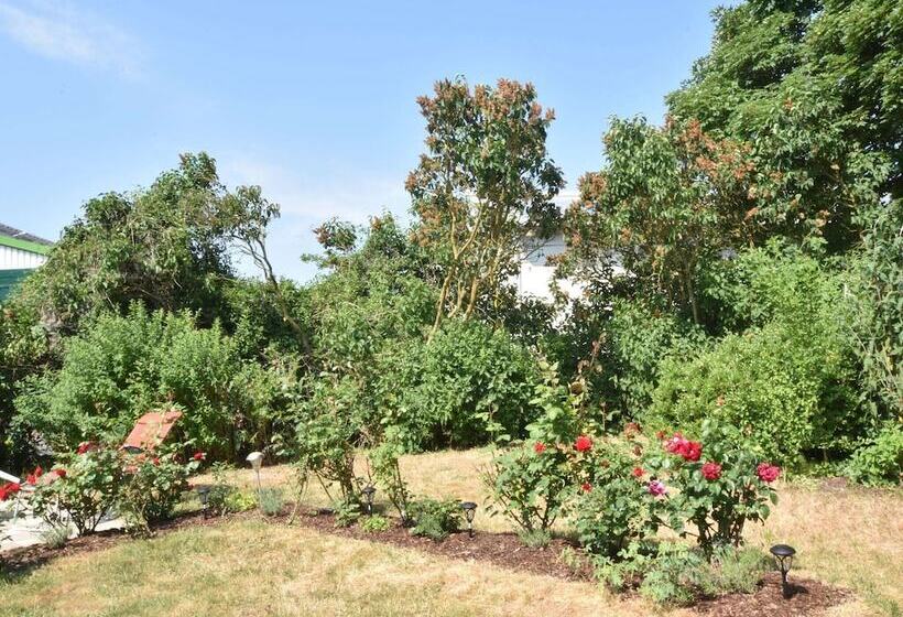 Ferienwohnung In Strandnaehe In Kuehlungsborn