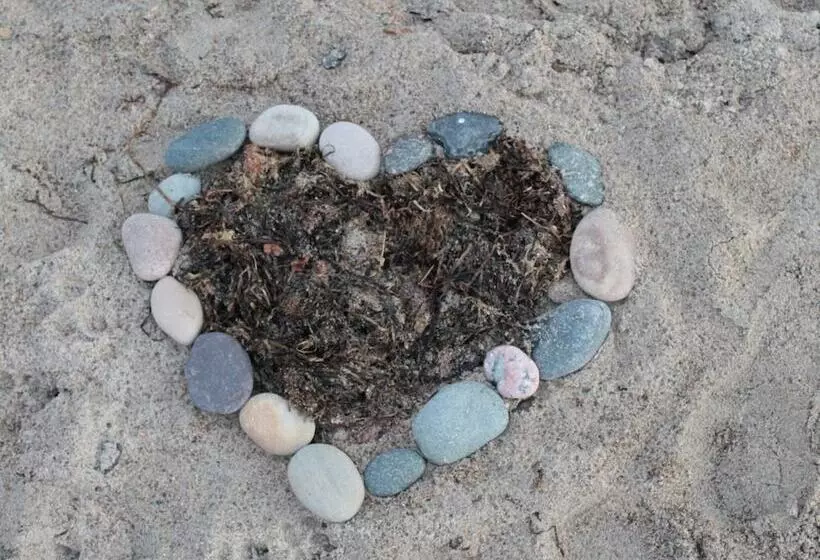 Ferienwohnung In Strandnaehe In Kuehlungsborn