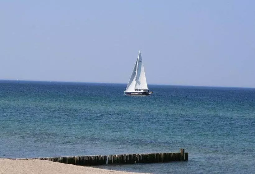 Ferienwohnung In Strandnaehe In Kuehlungsborn