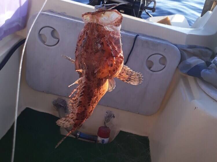 Villa Jadranka Privlaka