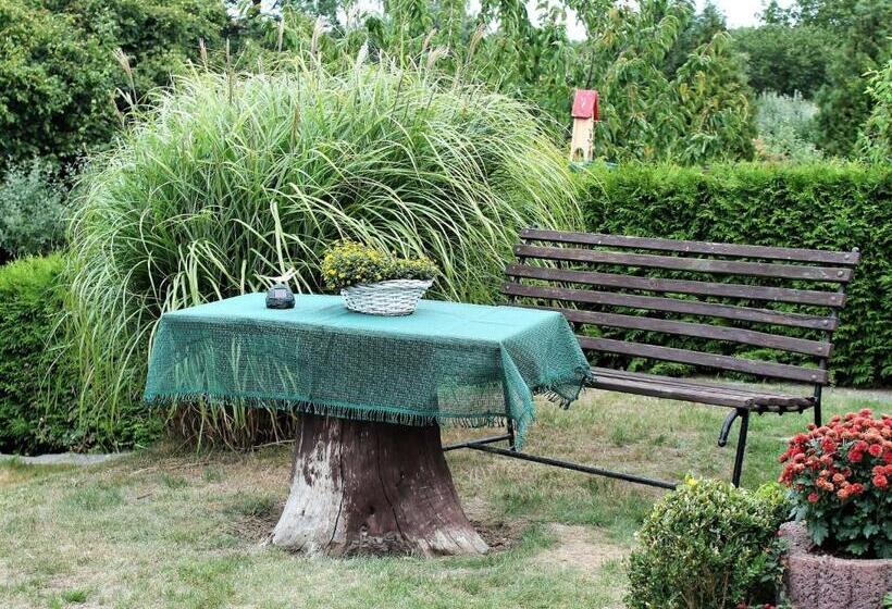 Beautiful Apartment In Proseken With Garden