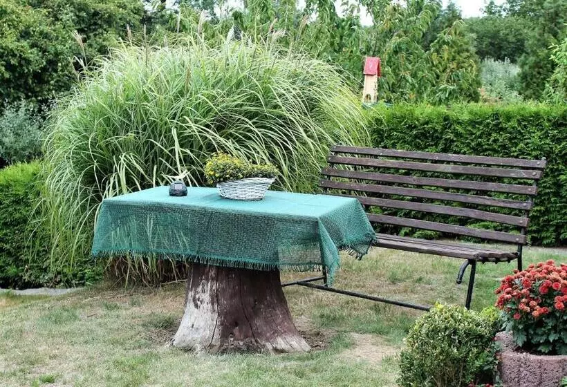 Beautiful Apartment In Proseken With Garden