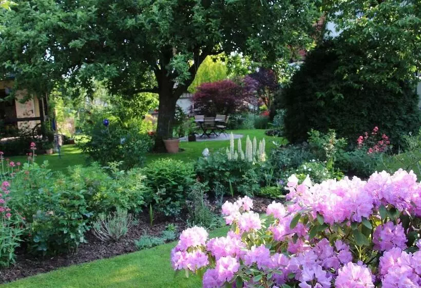 Cosy Apartment In The Harz Mountains