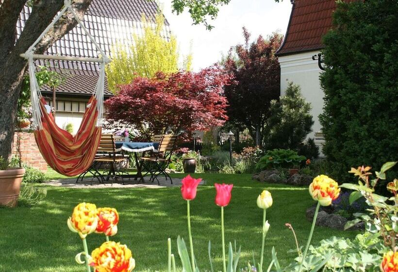 Cosy Apartment In The Harz Mountains