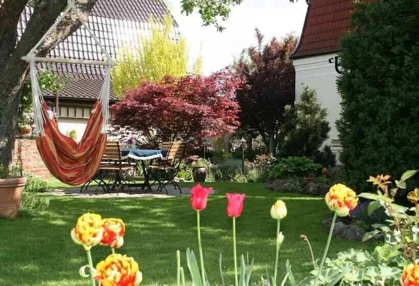 Cosy Apartment In The Harz Mountains