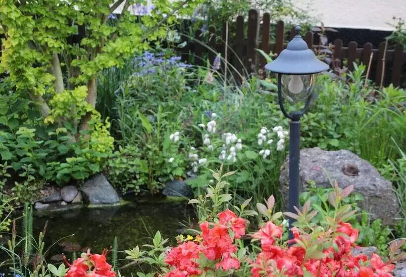 Cosy Apartment In The Harz Mountains