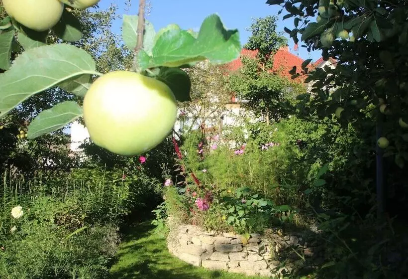 Cosy Apartment In The Harz Mountains